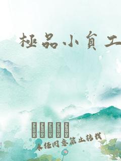极品小员工