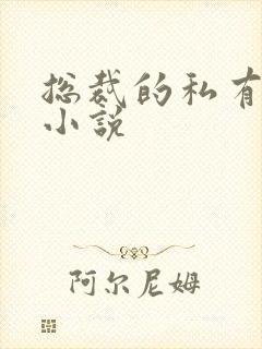 总裁的私有宝贝小说