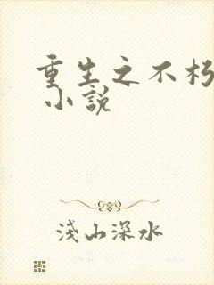 重生之不朽传奇 小说