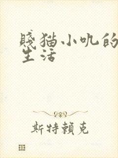 贱猫小叽的幸福生活