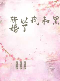 所以我和黑粉结婚了