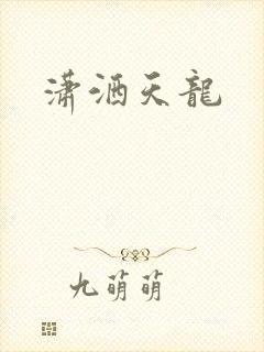 潇洒天龙