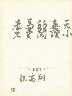 老马的春天全文免费阅读小说