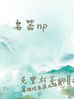 名器np