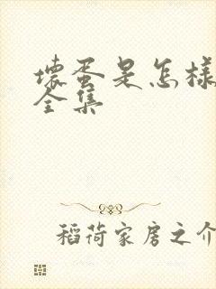 坏蛋是怎样炼成全集