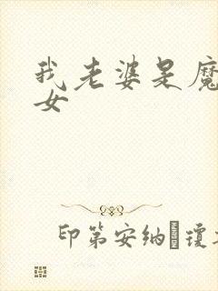 我老婆是魔法少女