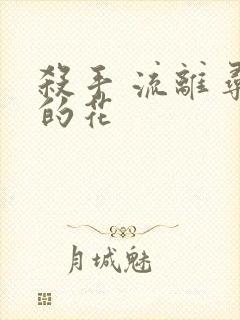 杀手 流离寻岸的花