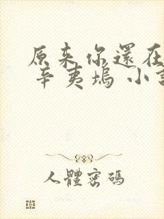 原来你还在这里 辛夷坞 小说