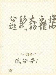 公的大龟慢慢挺进我的体内小说