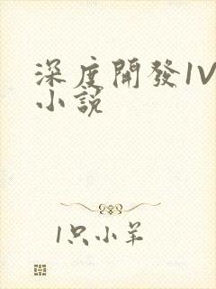深度开发1V3小说
