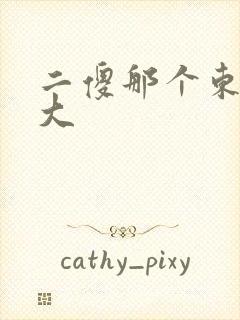 二傻那个东西真大