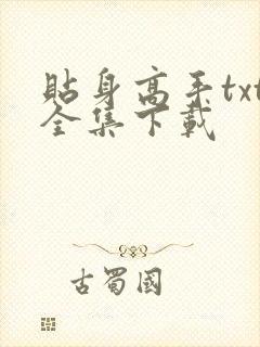 贴身高手txt全集下载