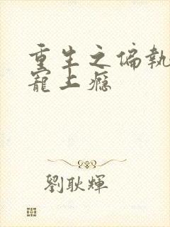 重生之偏执老公宠上瘾