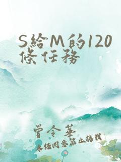 S给M的120条任务