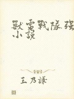 兽电战队强龙者小说