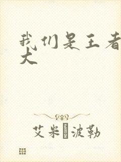 我们是王者立海大