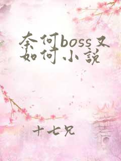 奈何boss又如何小说