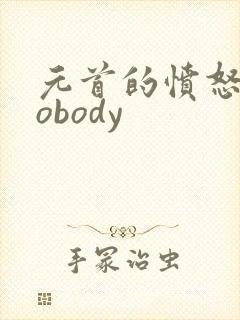 元首的愤怒之nobody