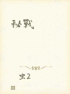 秘战