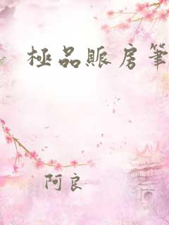 极品账房笔趣阁