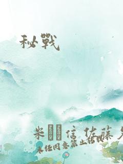 秘战