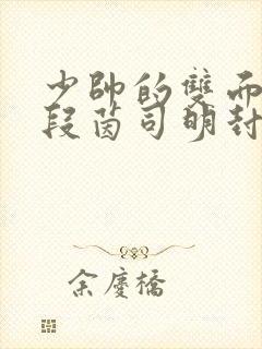 少帅的双面宠妻段茵司明封免费