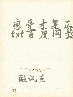 恋爱才是正经事txt百度网盘