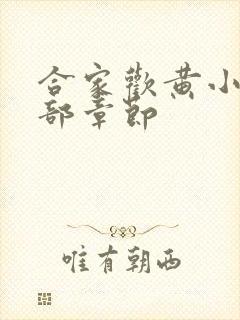 合家欢黄小梅全部章节