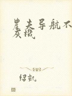 农夫导航不要打灰机