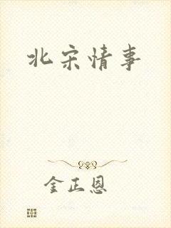 北宋情事