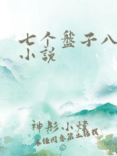 七个盘子八个碗小说