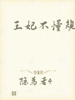 王妃不懂规矩