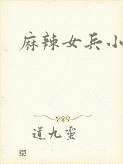 麻辣女兵小说版