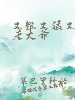 又粗又猛又大爽老大爷