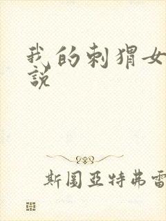 我的刺猬女孩小说