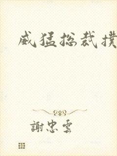 威猛总裁扑娇妻