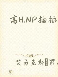 高H.NP抽插