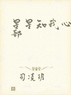 星星知我心第二部