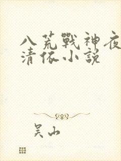八荒战神夜麟云清依小说