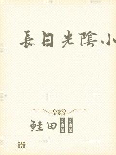 长日光阴小说