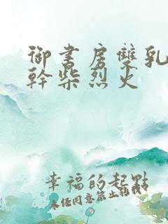 御书房双乳晃动干柴烈火