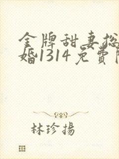 金牌甜妻总裁宠婚1314免费阅读