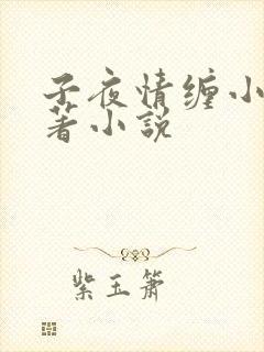 子夜情缠小说原著小说