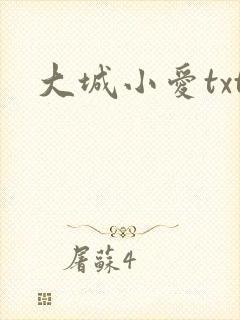 大城小爱txt