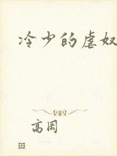 冷少的虐奴