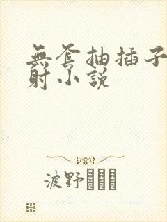 无套抽插子宫内射小说