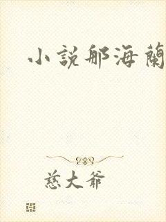 小说那海兰珠