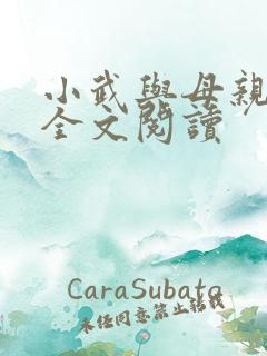 小武与母亲小说全文阅读