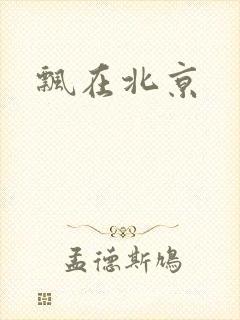 飘在北京