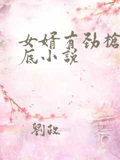 女婿有劲枪枪到底小说